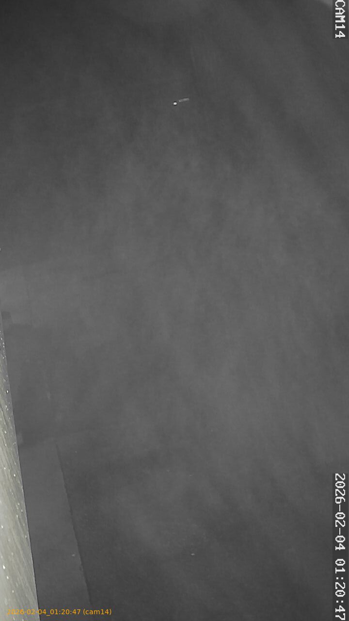 thumbnail_20260204012047