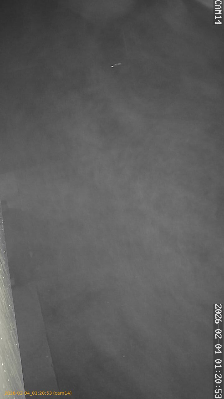 thumbnail_20260204012053