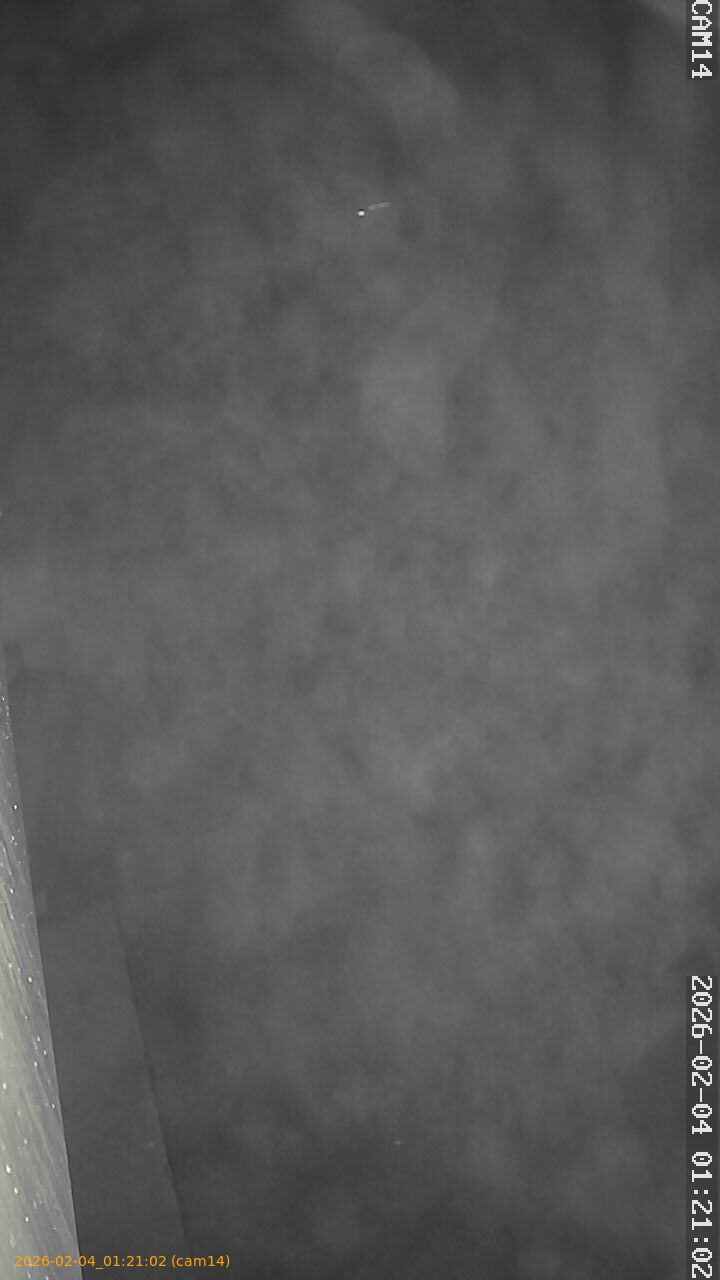 thumbnail_20260204012102