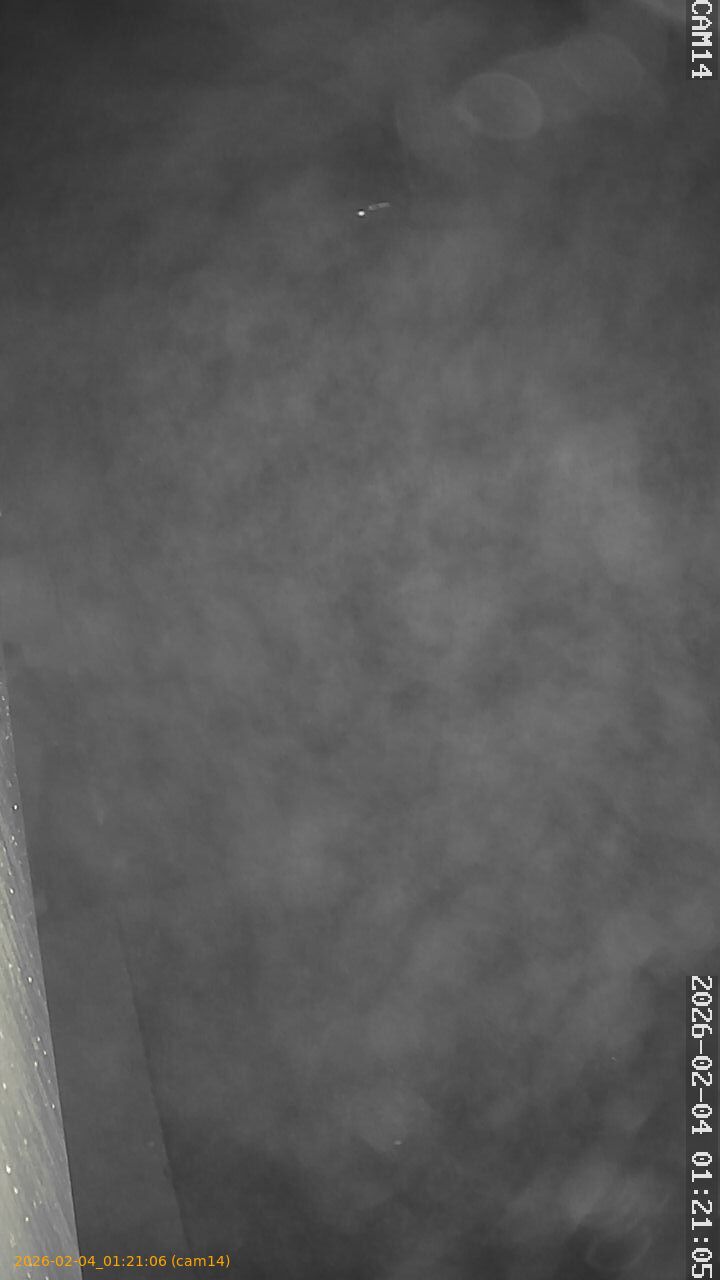 thumbnail_20260204012106