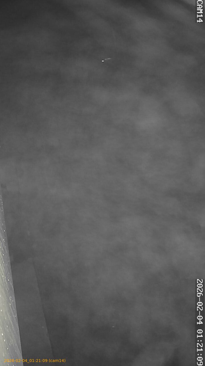 thumbnail_20260204012109