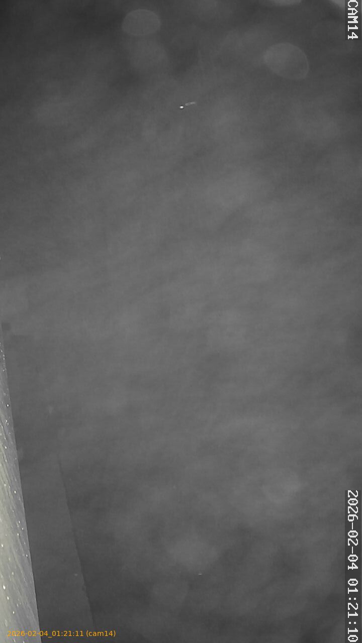 thumbnail_20260204012111