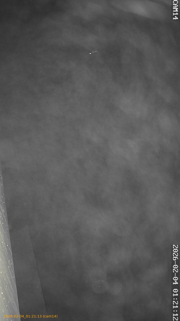 thumbnail_20260204012113