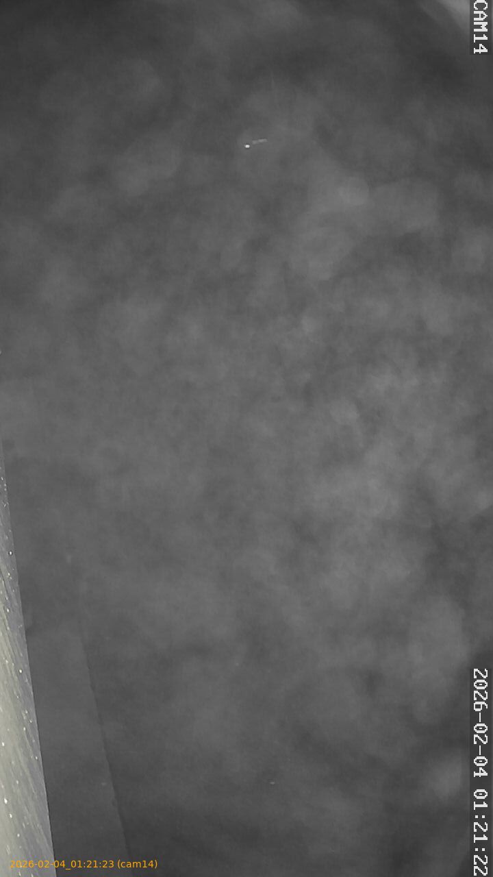 thumbnail_20260204012123