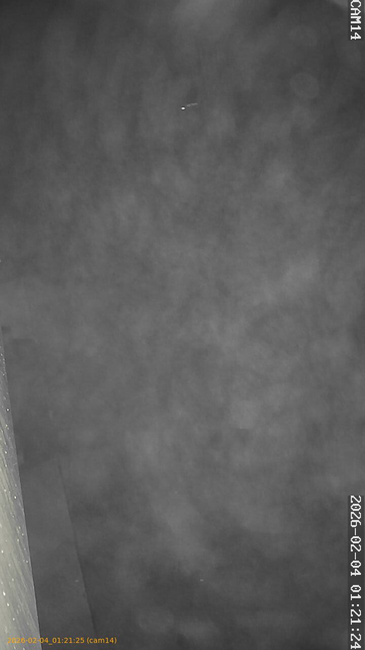 thumbnail_20260204012125