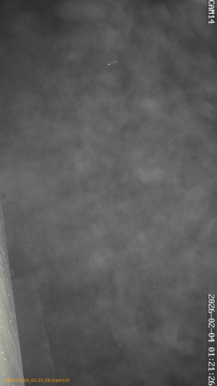 thumbnail_20260204012126