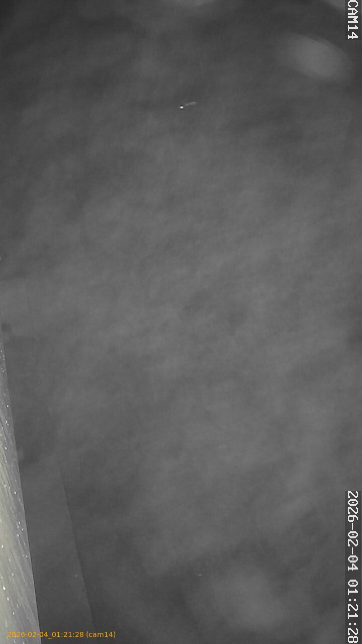 thumbnail_20260204012128