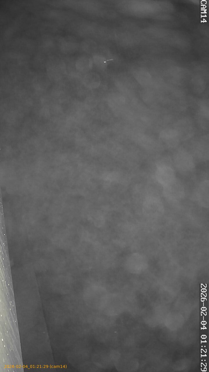 thumbnail_20260204012129