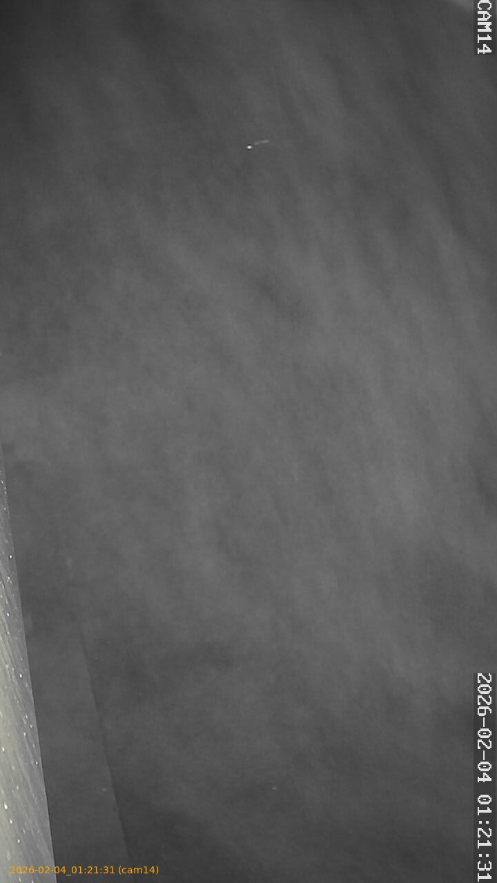 thumbnail_20260204012131