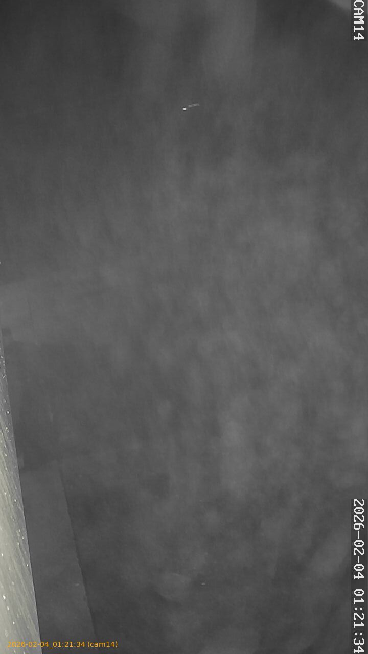 thumbnail_20260204012134