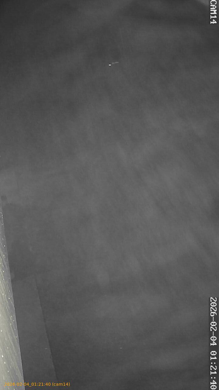 thumbnail_20260204012140