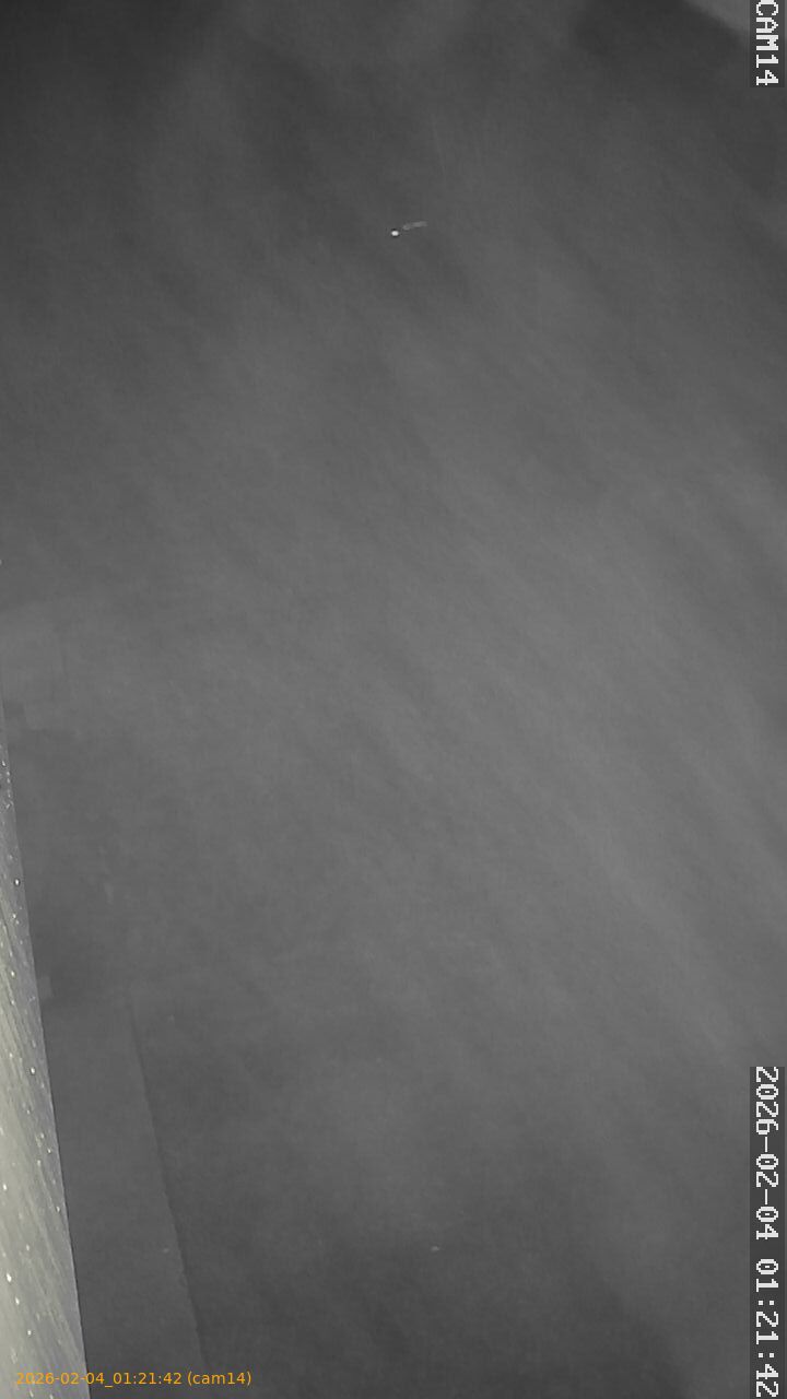 thumbnail_20260204012142