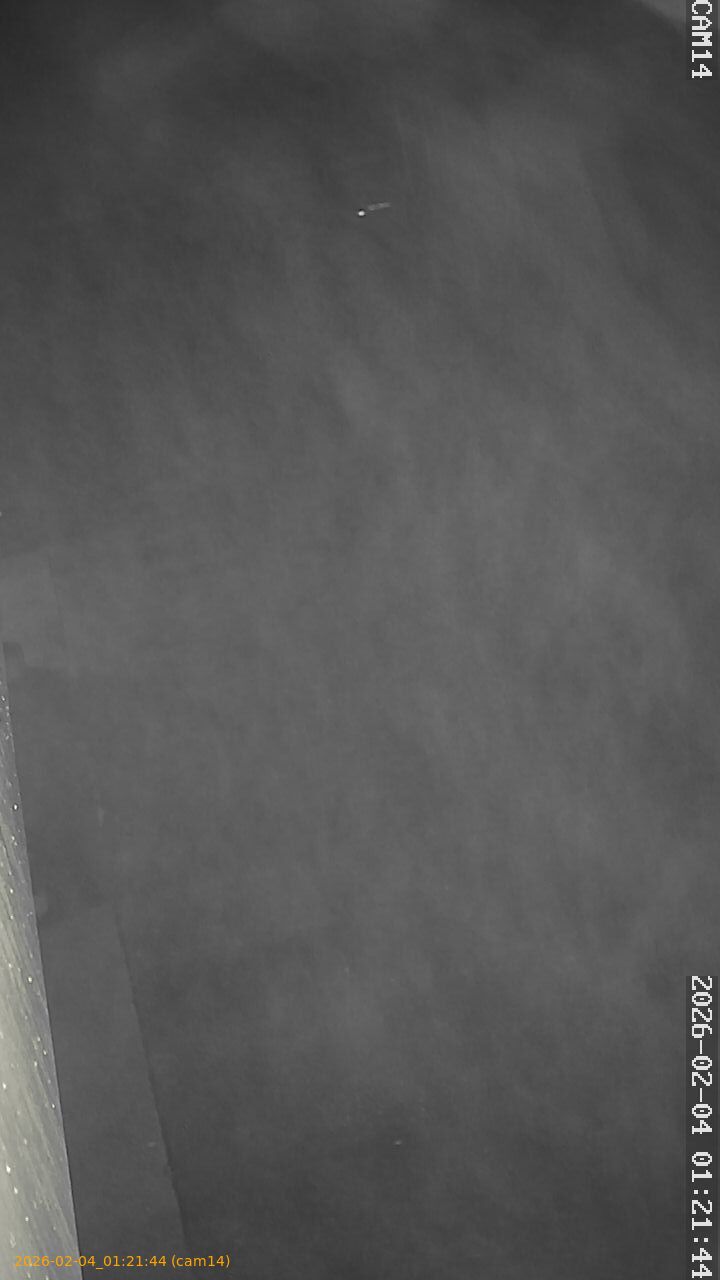 thumbnail_20260204012144