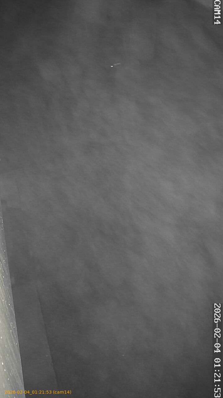 thumbnail_20260204012153