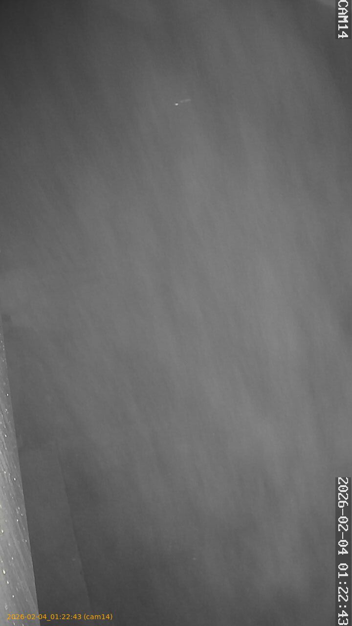 thumbnail_20260204012243