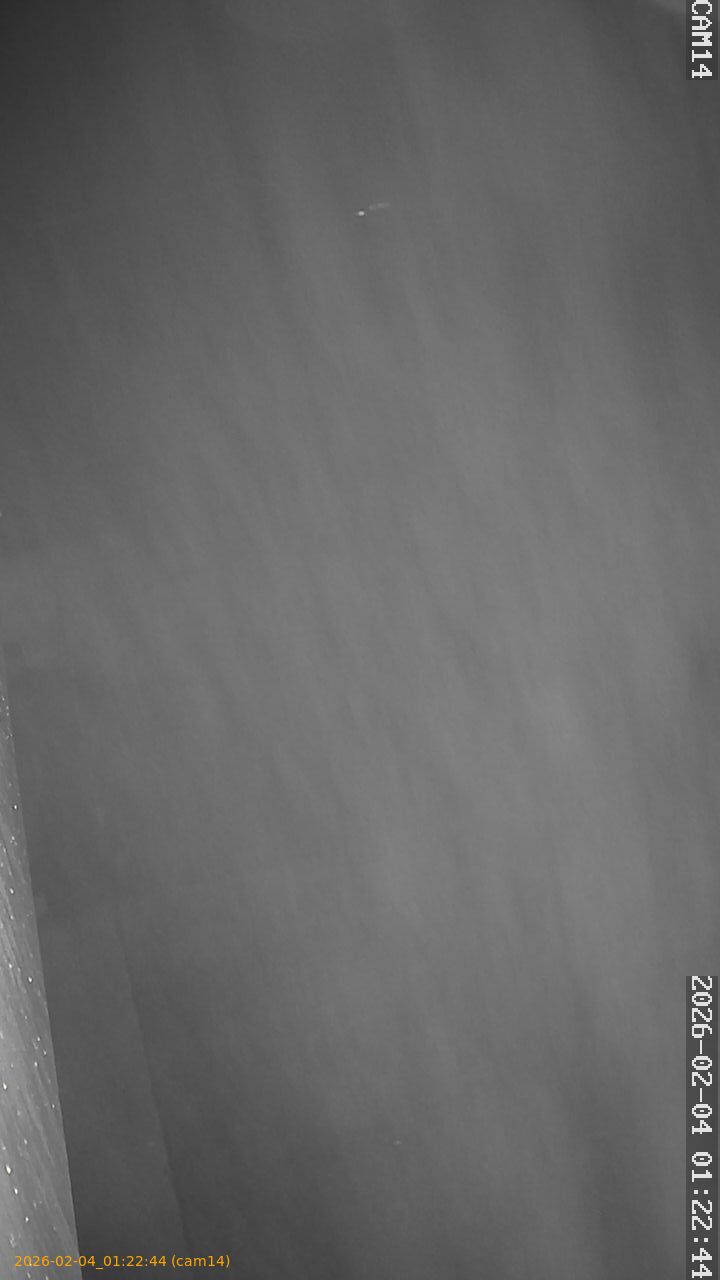 thumbnail_20260204012244