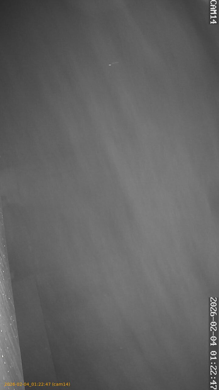 thumbnail_20260204012247