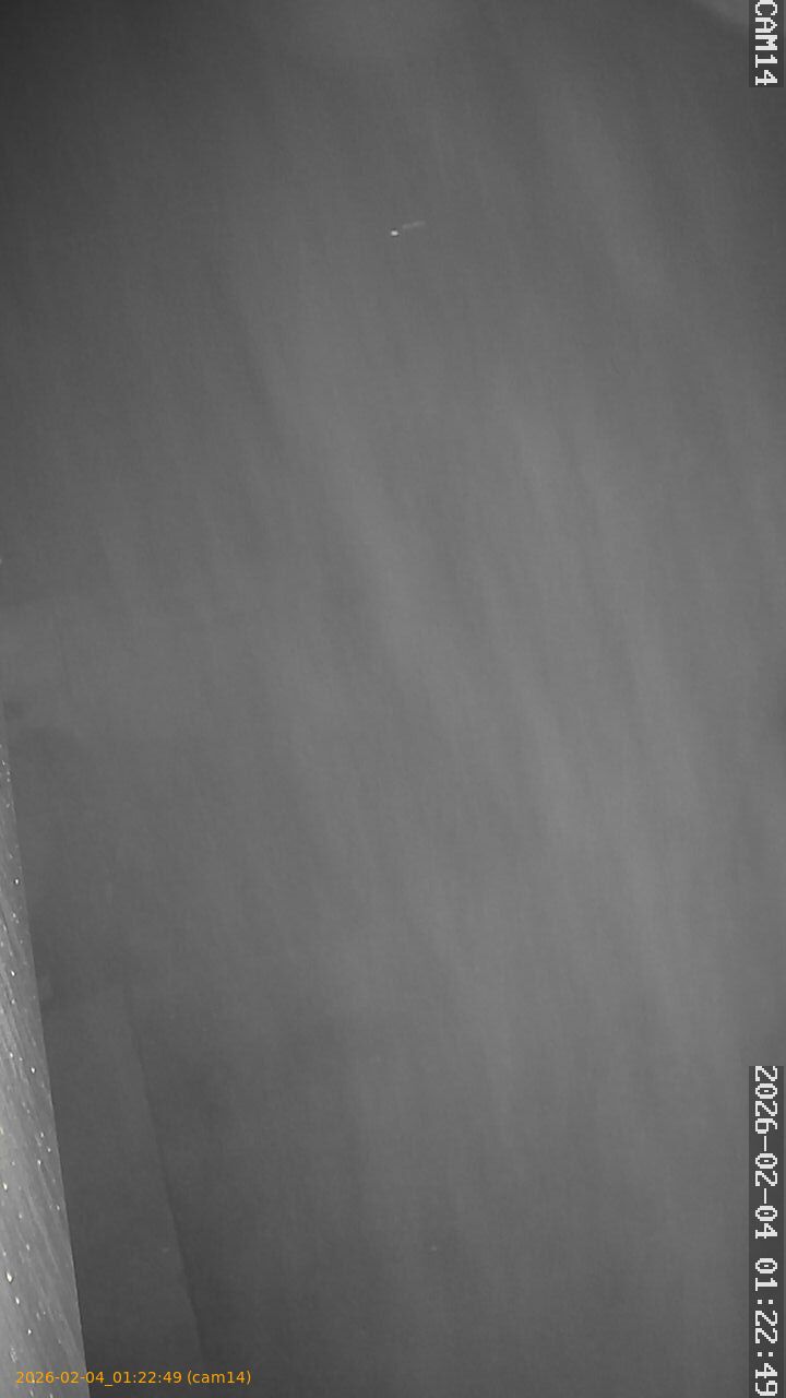 thumbnail_20260204012249