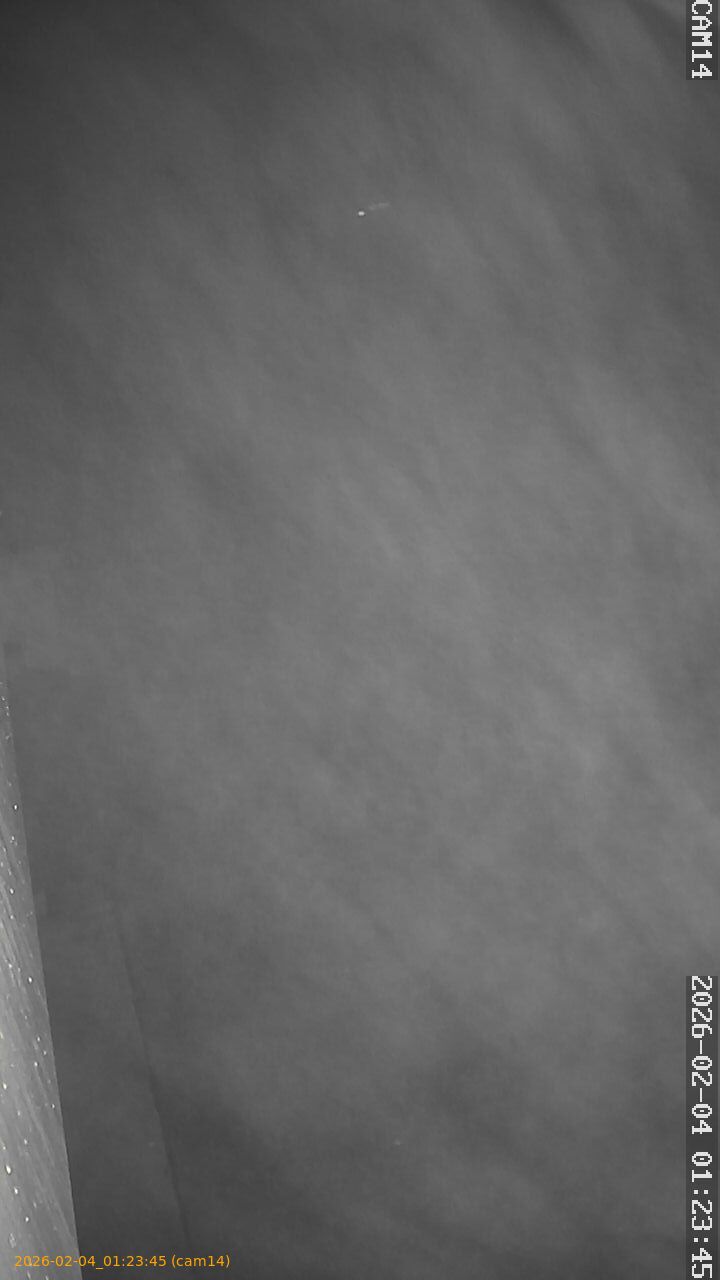 thumbnail_20260204012345