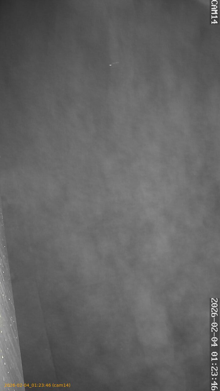 thumbnail_20260204012346