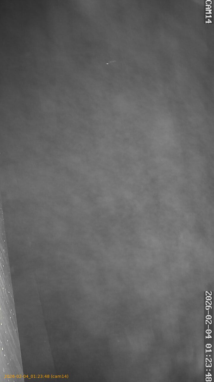 thumbnail_20260204012348