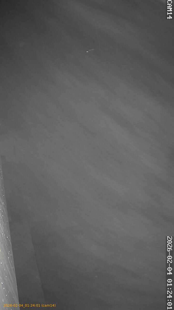 thumbnail_20260204012401