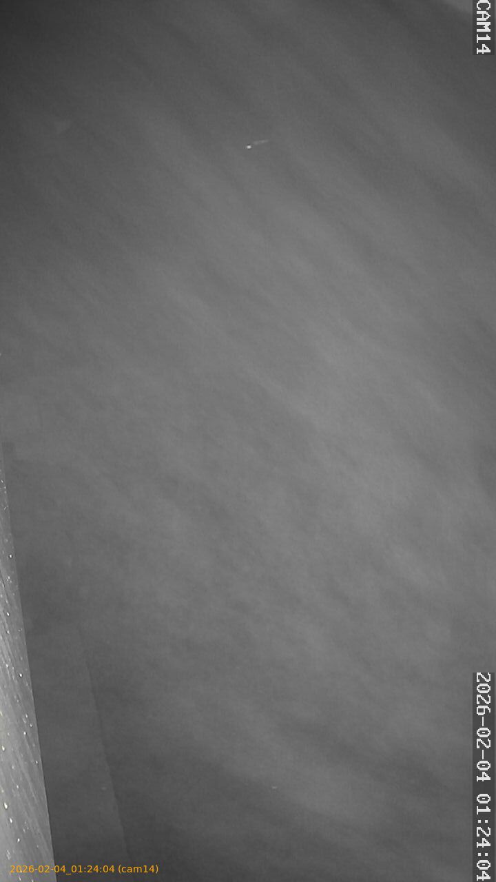 thumbnail_20260204012404