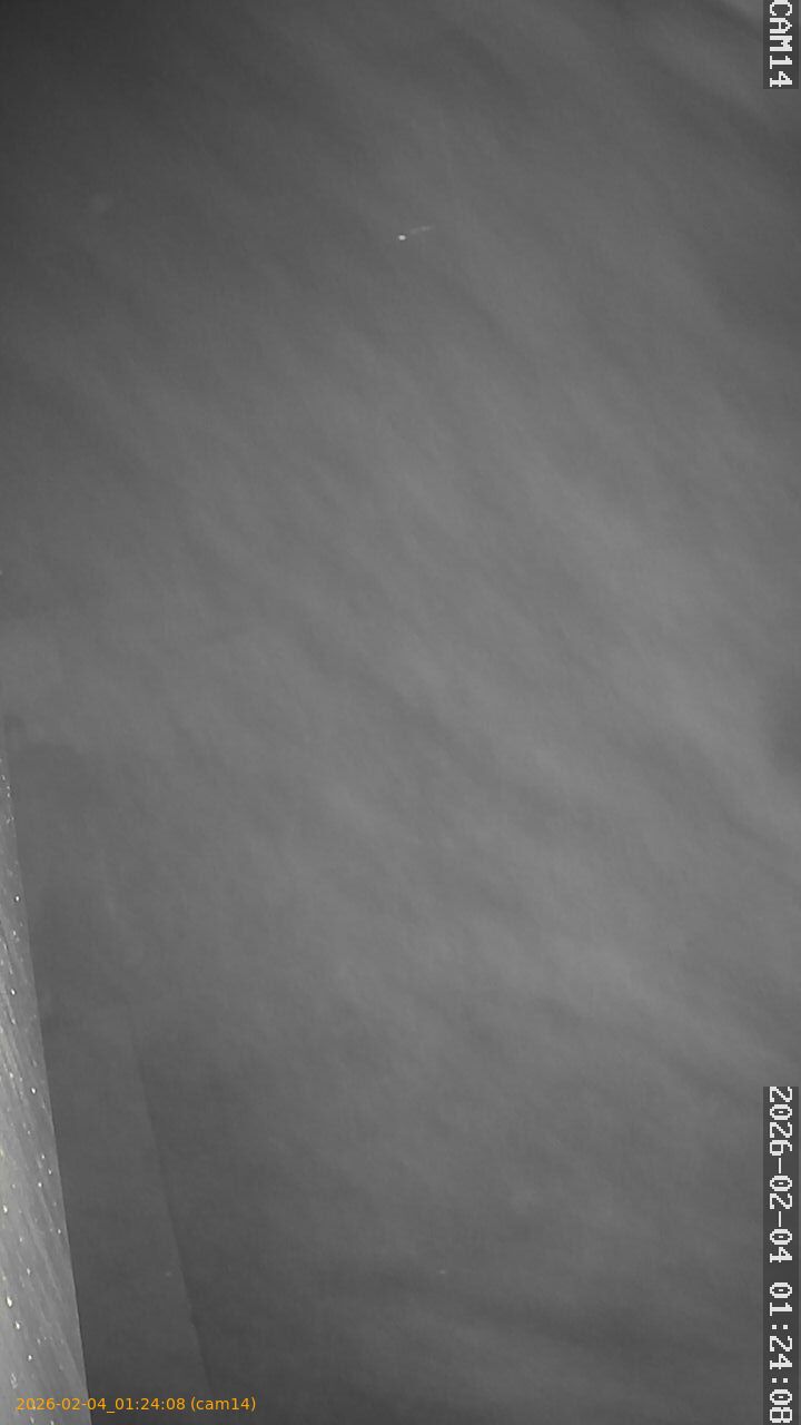 thumbnail_20260204012408