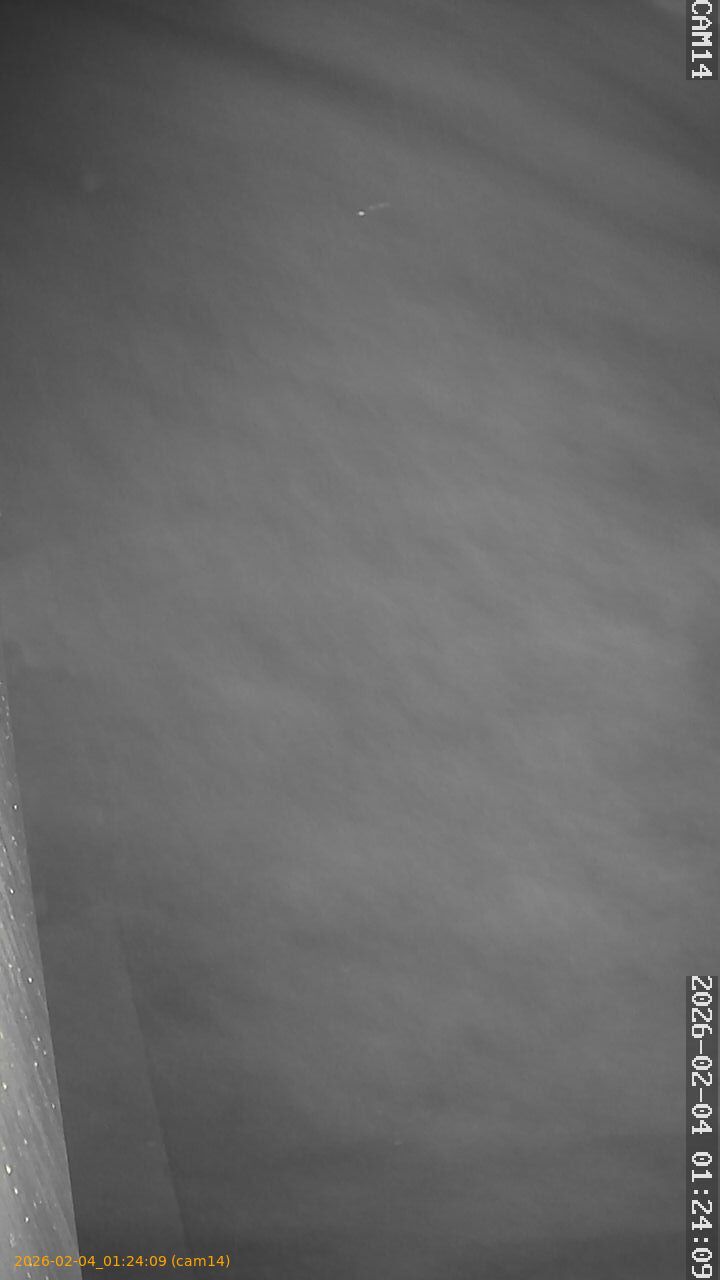 thumbnail_20260204012409