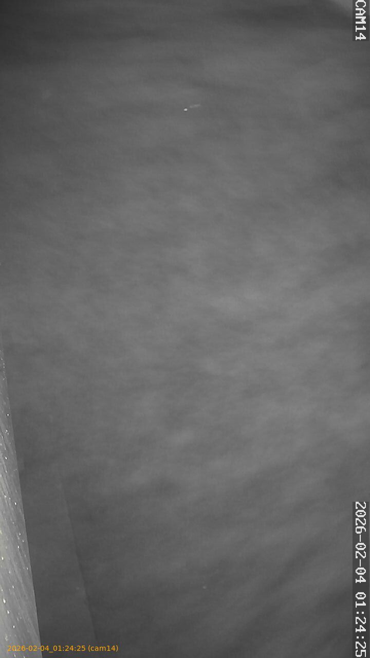 thumbnail_20260204012425