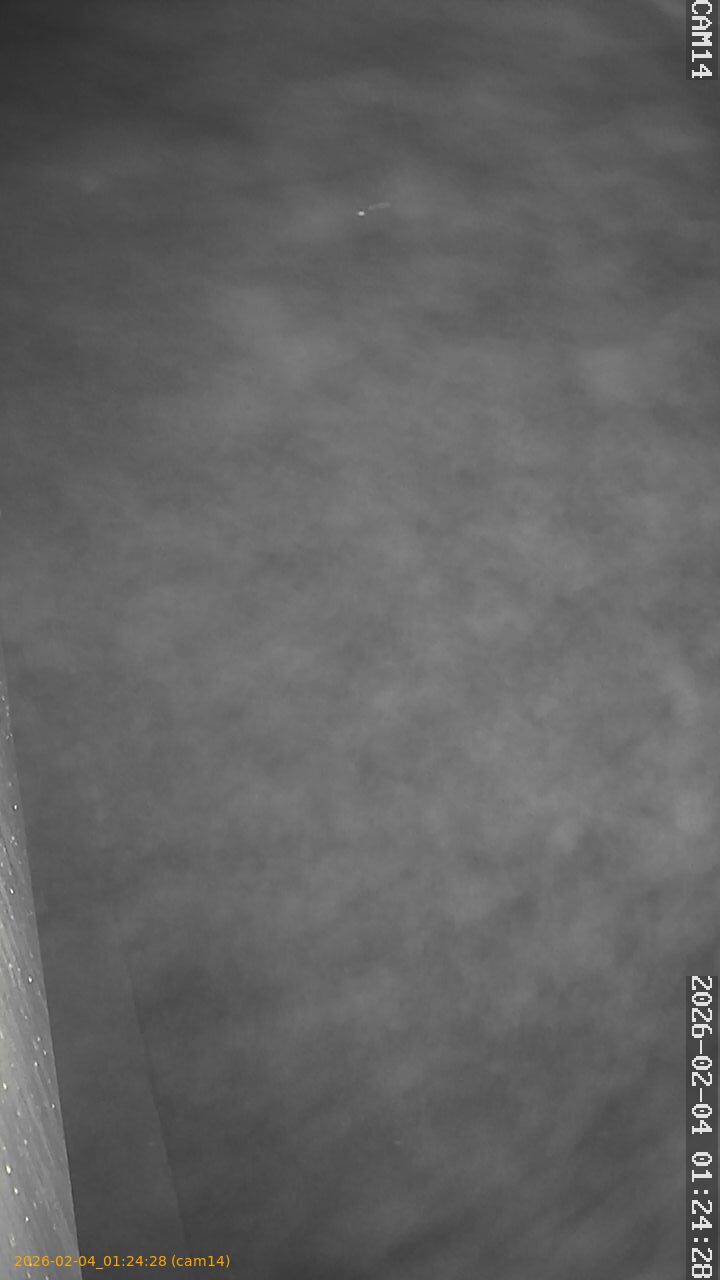 thumbnail_20260204012428