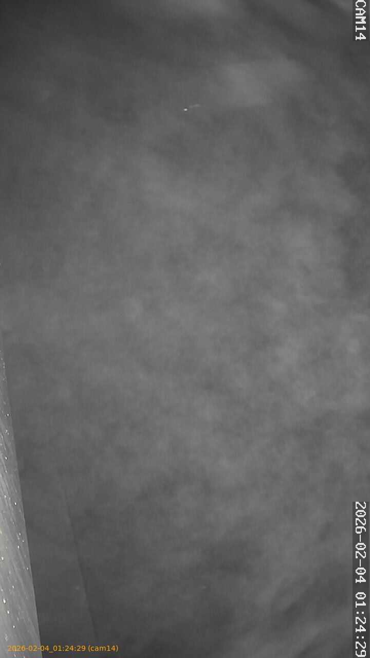 thumbnail_20260204012429