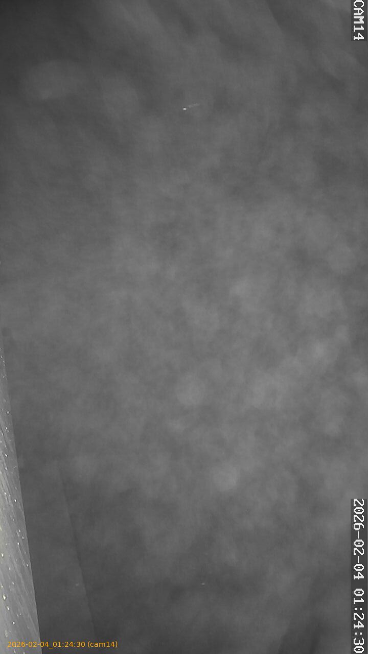 thumbnail_20260204012430