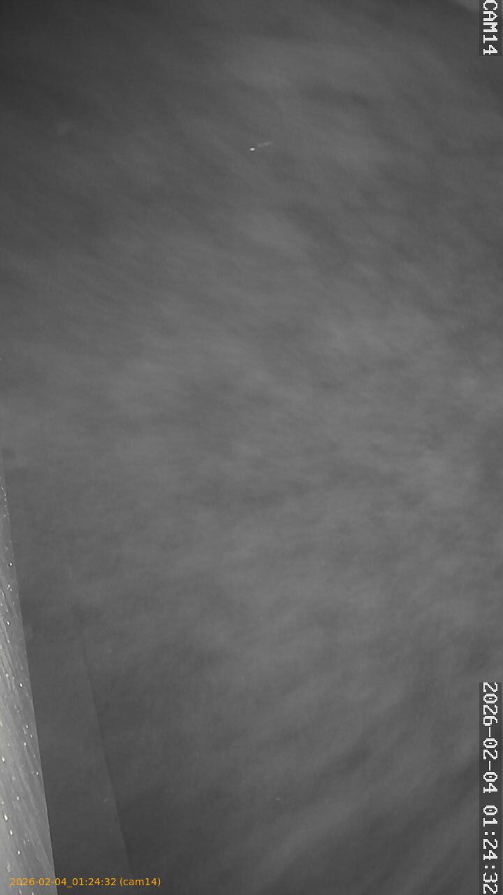 thumbnail_20260204012432