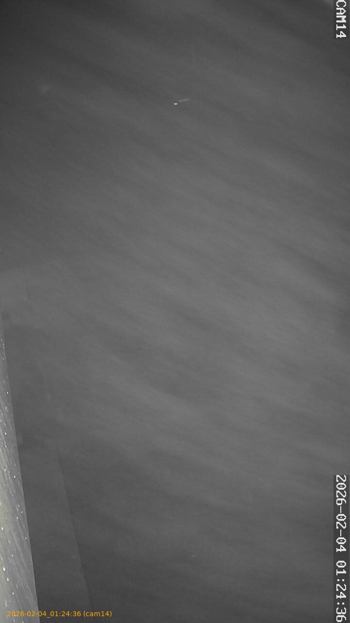 thumbnail_20260204012436