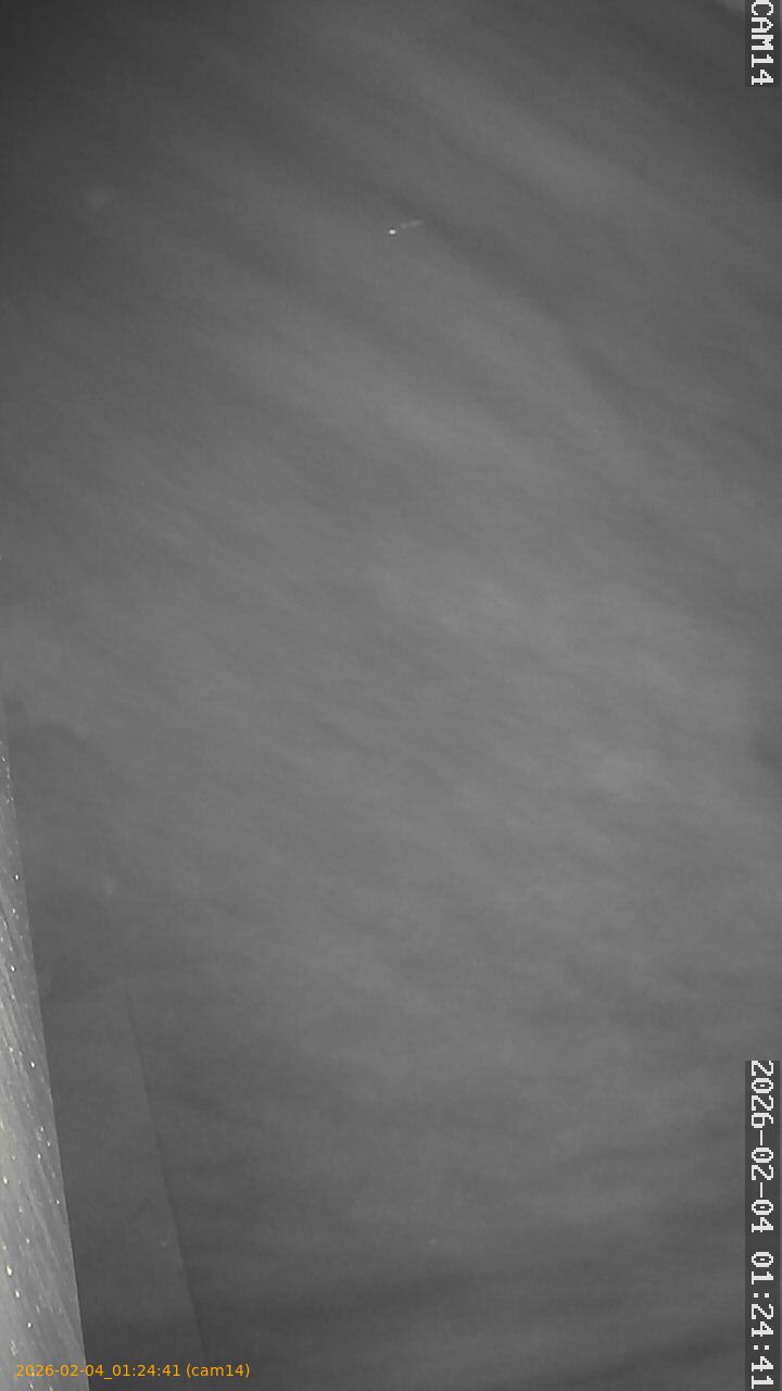 thumbnail_20260204012441