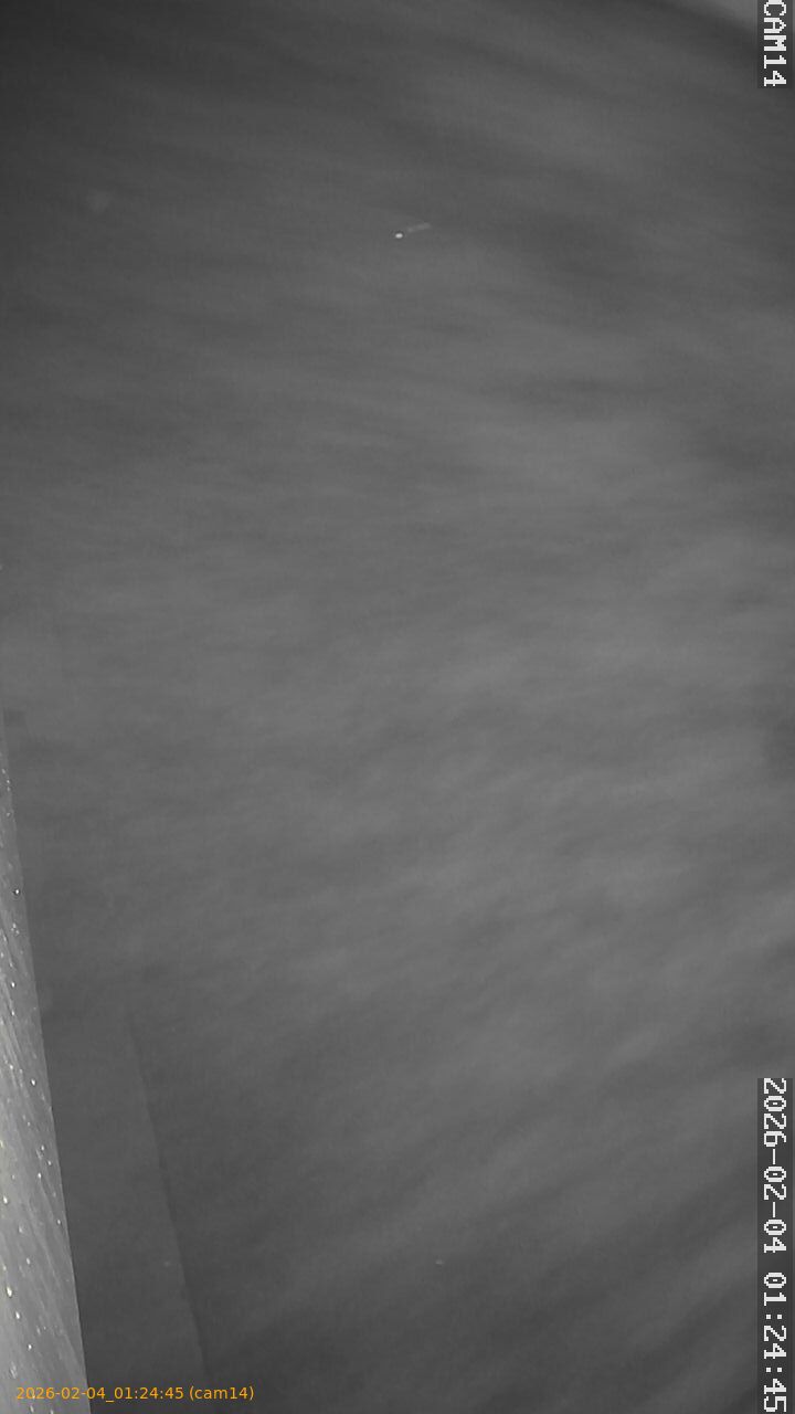 thumbnail_20260204012445