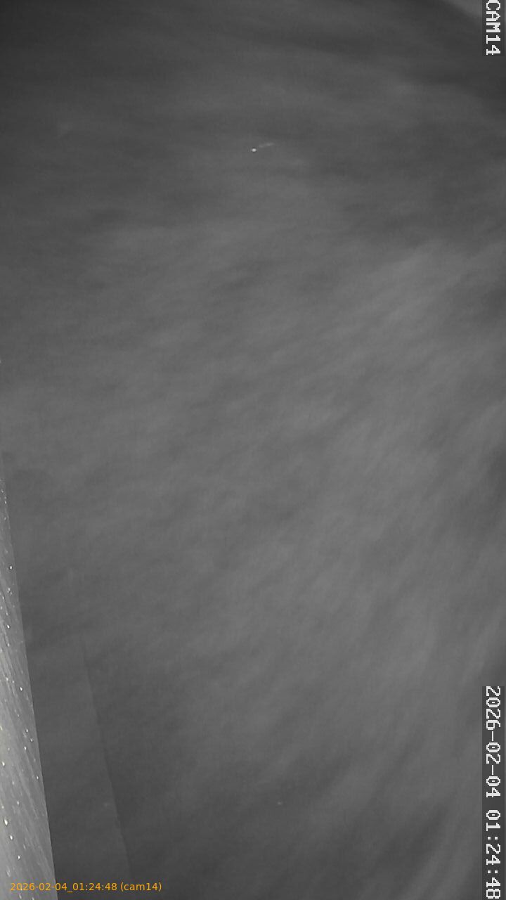 thumbnail_20260204012448