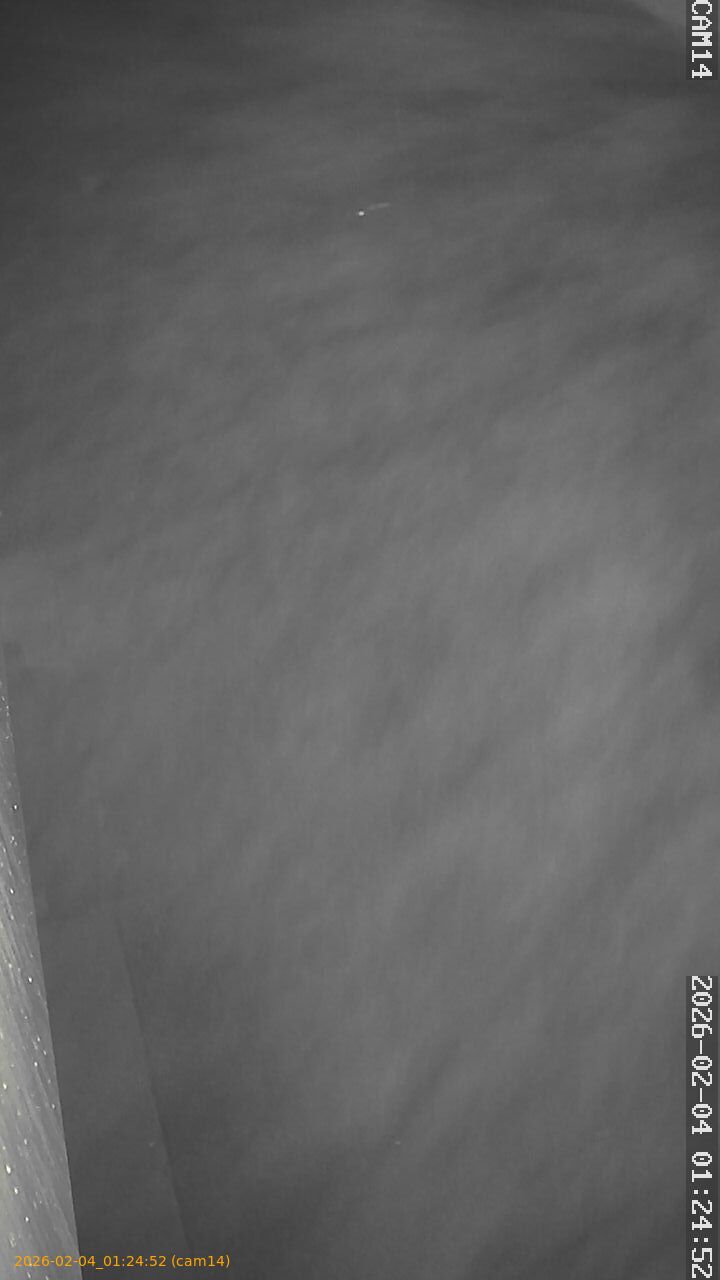 thumbnail_20260204012452