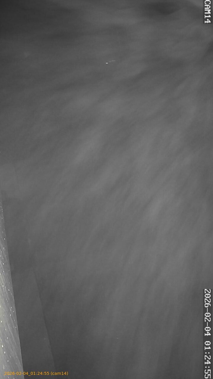 thumbnail_20260204012455