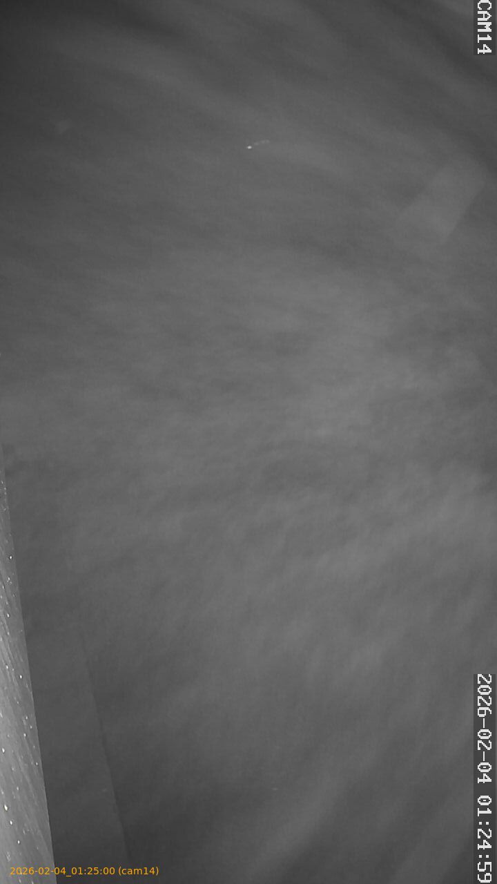 thumbnail_20260204012500