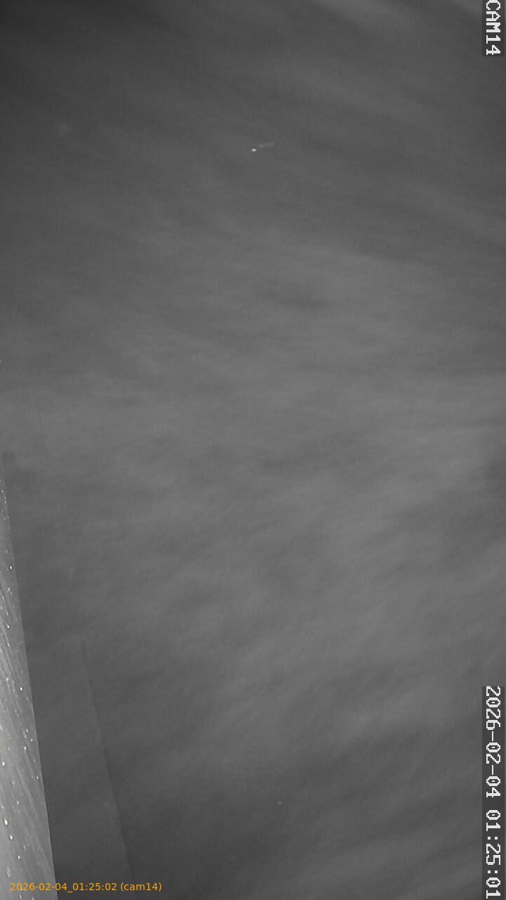 thumbnail_20260204012502