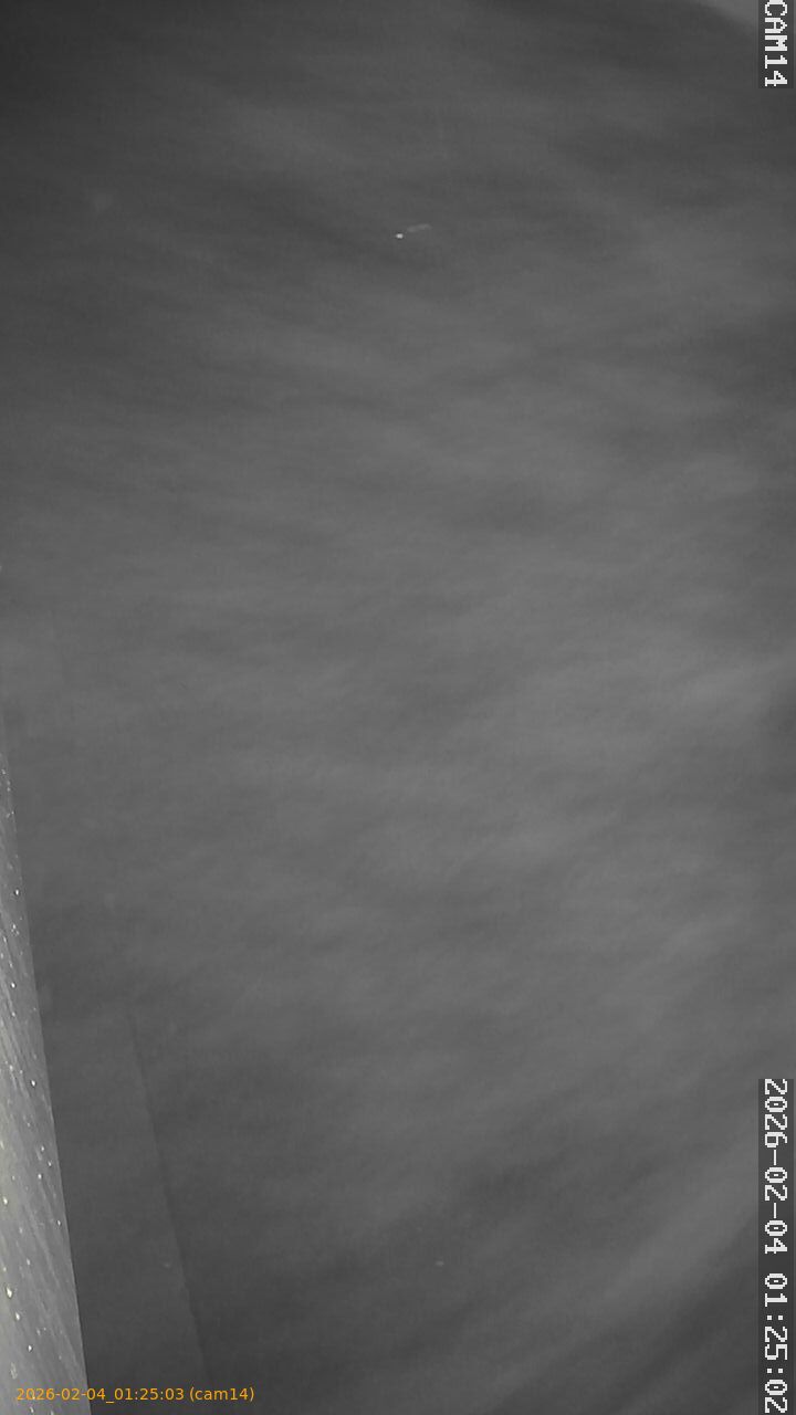 thumbnail_20260204012503