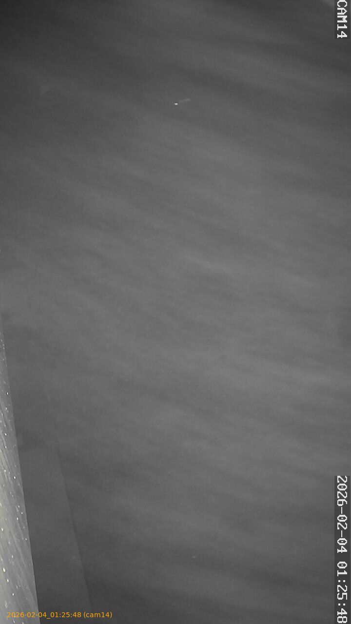 thumbnail_20260204012548