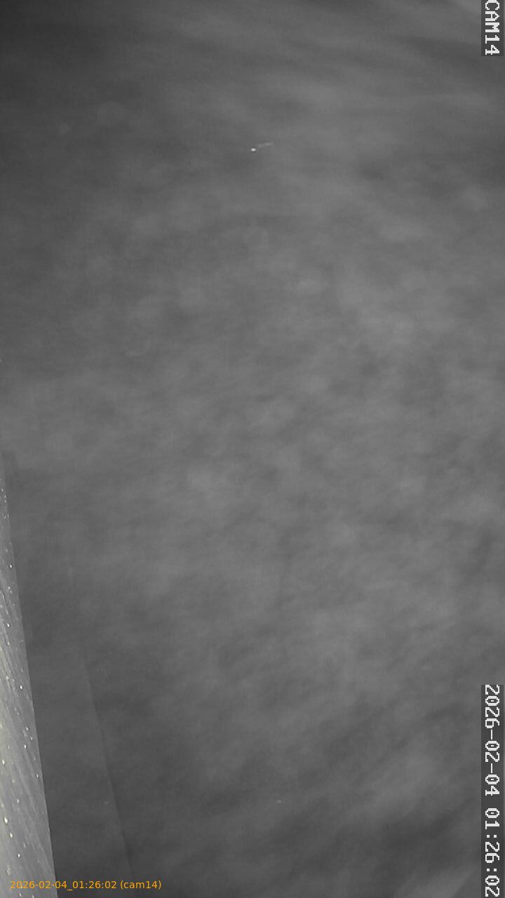 thumbnail_20260204012602