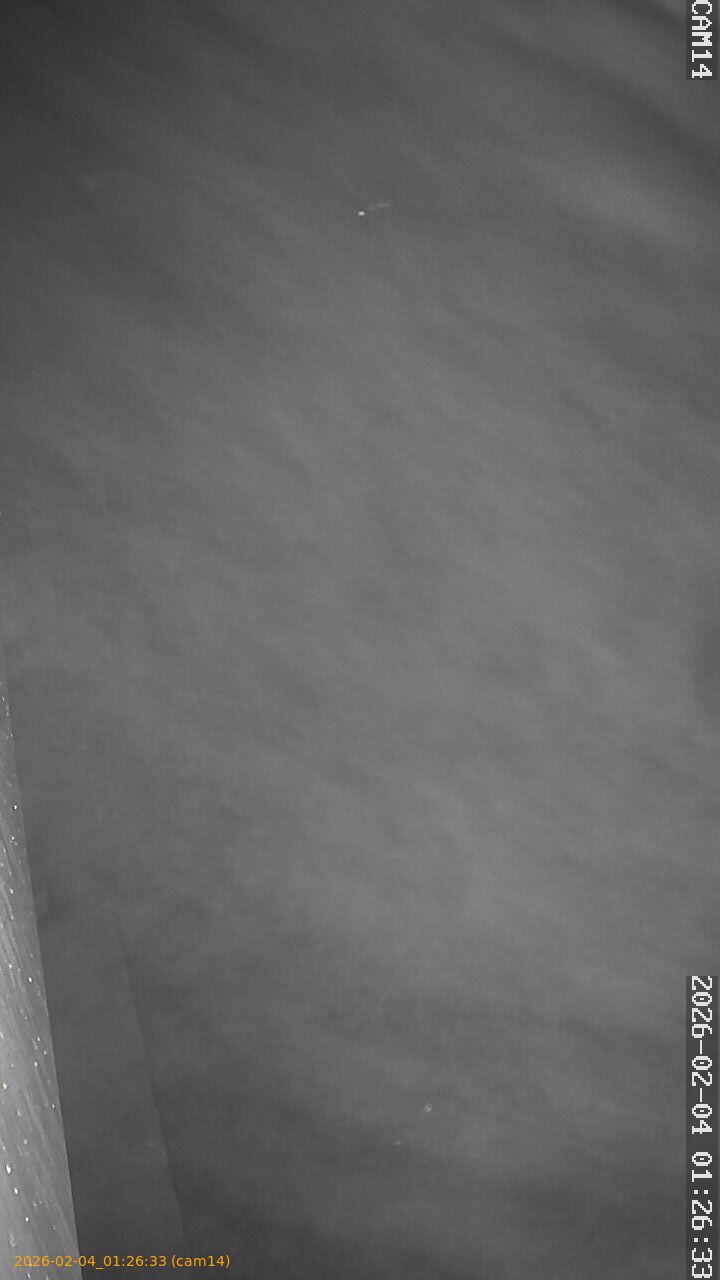 thumbnail_20260204012633