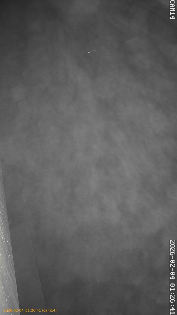 thumbnail_20260204012641