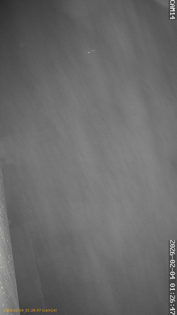 thumbnail_20260204012647