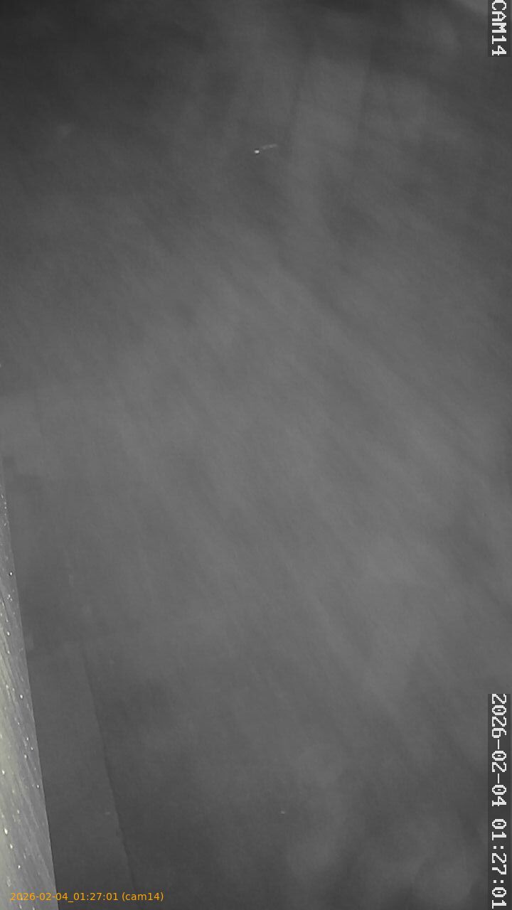 thumbnail_20260204012701