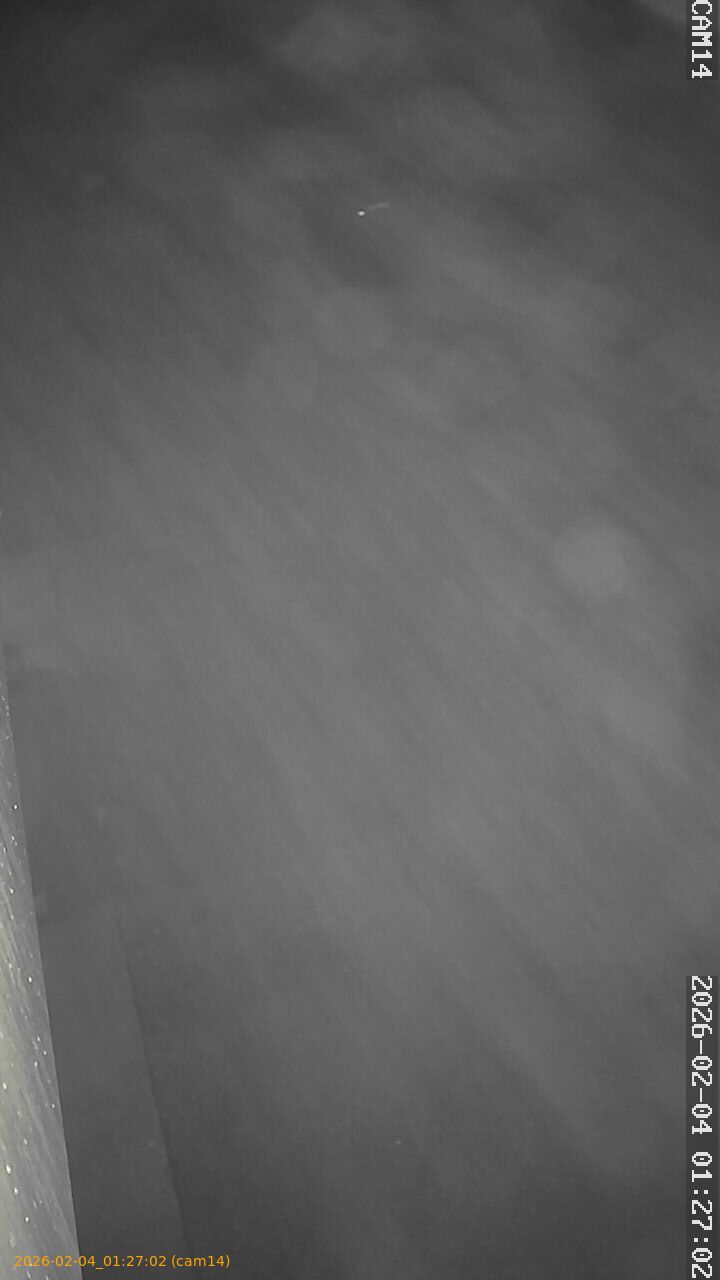 thumbnail_20260204012702